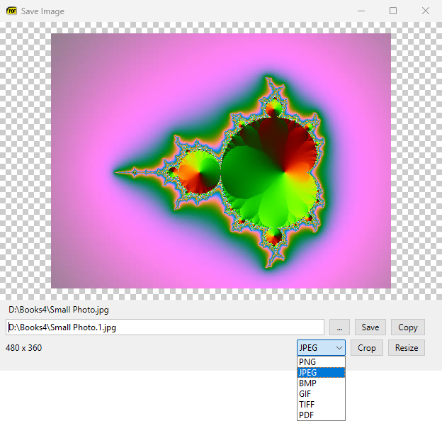 The Save Image window with the image format drop-down open