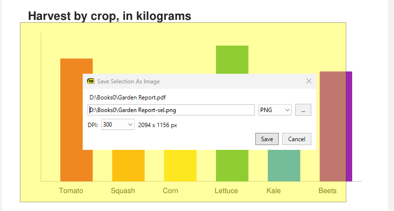 Save Selection As Image dialog over a rectangular selection, with format and DPI