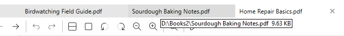 Tab tooltip with the file&rsquo;s full path and size